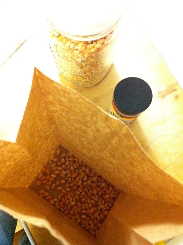 Line the bottom of the paper bag with a single layer of popcorn seeds