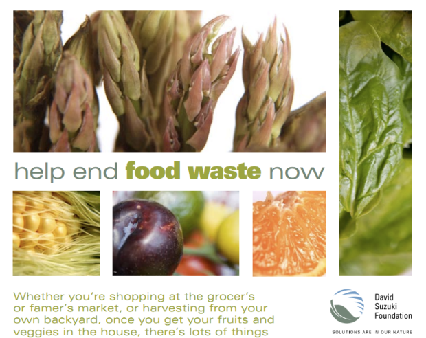 David Suzuki's help end food waste now guide