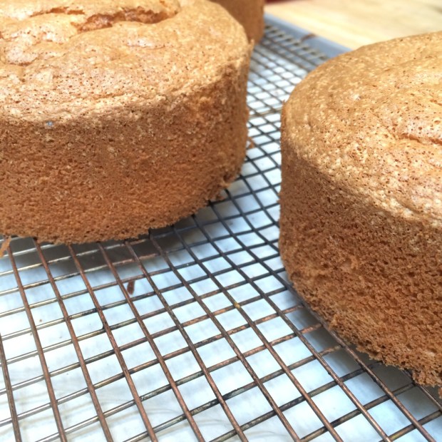 Classic sponge cake! Light and fluffy, like angel food cake texture.