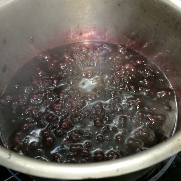 Making fruit coulis... another sauce for the plate. 