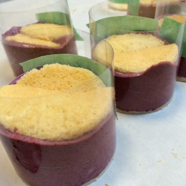 Bottom layer of our dessert.... filled with orange soaked lady fingers. 