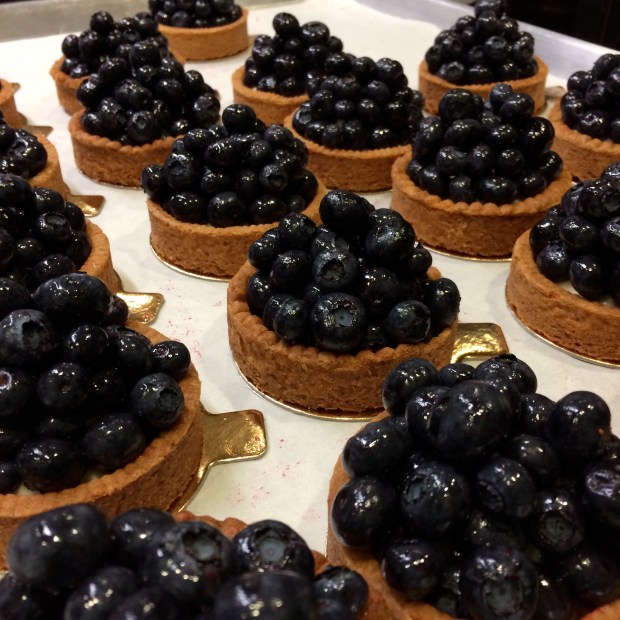 On stage #3 I got to fill these beautiful tarts and stack the blueberries like marbles, delicately. I had to take a photo when I was done. 