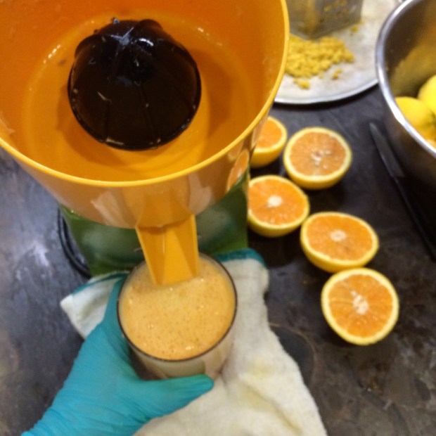During my stage #3, I juiced some more citrus, but this time with a SERIOUS juicer. This thing is like a drill for citrus. I was almost scared to use it, the black piece starts spinning before the orange is on it. I got the  hang of it, and my hand is still attached. I think you could juice a lot of citrus with this puppy in a short time. 