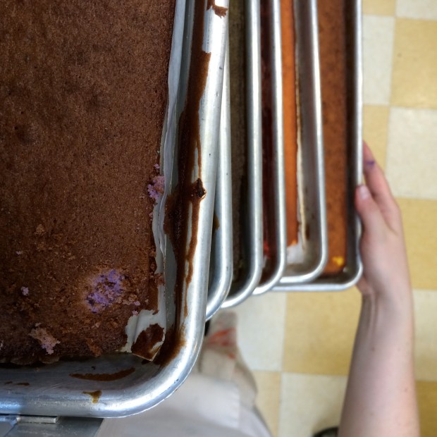 All the cake layers are ready to be cut to size, I baked A LOT of cake on the first day. 