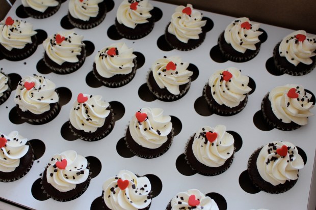 Mini chocolate cupcakes