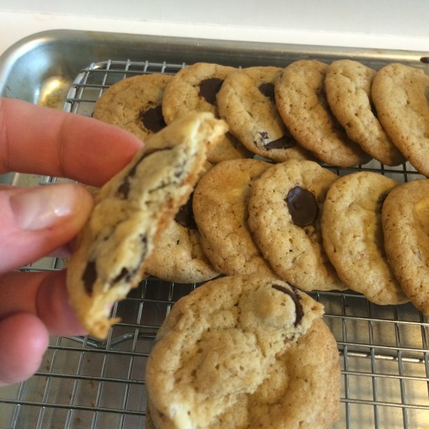 The William-Sonoma Baking Book's Chocolate Chip Cookie recipe is a success!